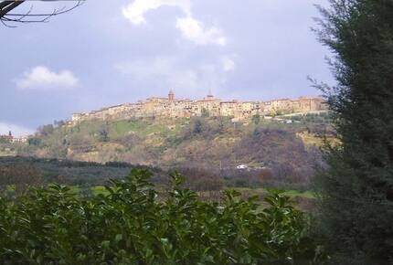 Podere Vigliano - Monteleone d'Orvieto - Terni, Italy