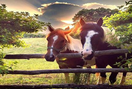 The Original Eagles Nest - Banner Elk, North Carolina