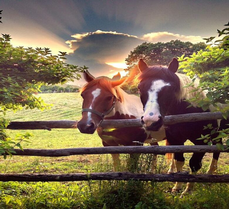 The Original Eagles Nest - Banner Elk, North Carolina
