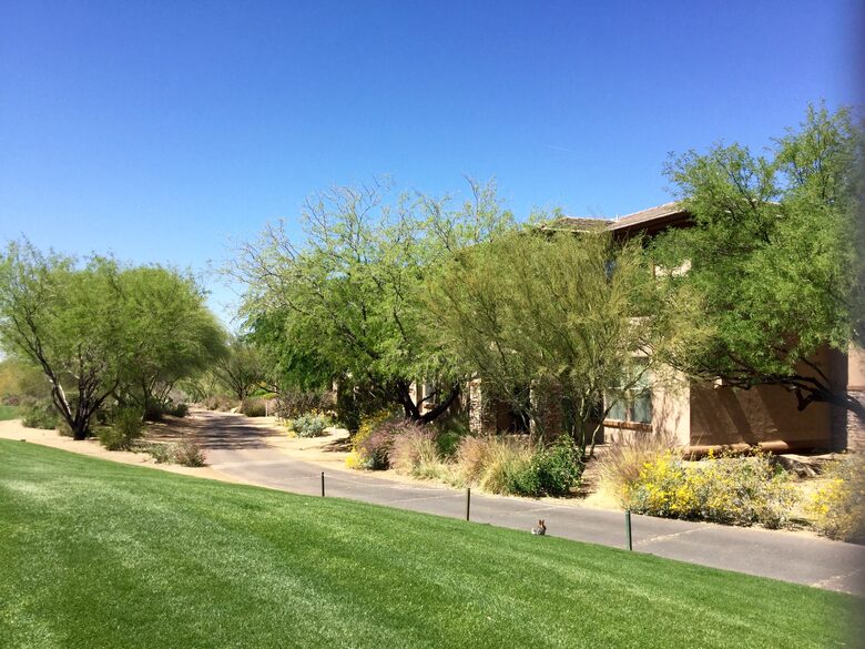 Troon Monument Course at 9th Green - Scottsdale, Arizona
