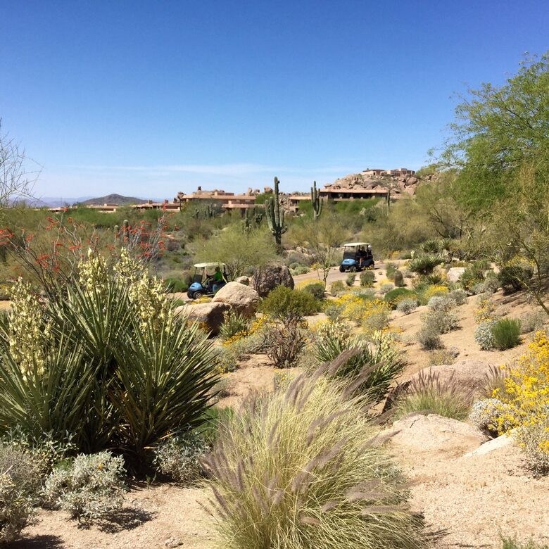 Troon Monument Course at 9th Green - Scottsdale, Arizona