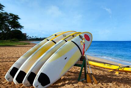 The Westin Ka'anapali Ocean Resort Villas | Studio - Maui, Hawaii