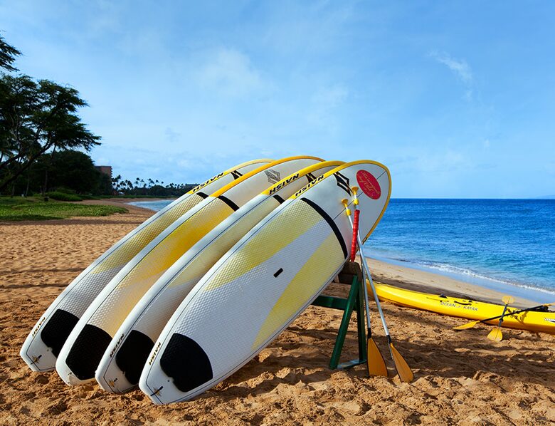 The Westin Ka'anapali Ocean Resort Villas | Studio - Maui, Hawaii