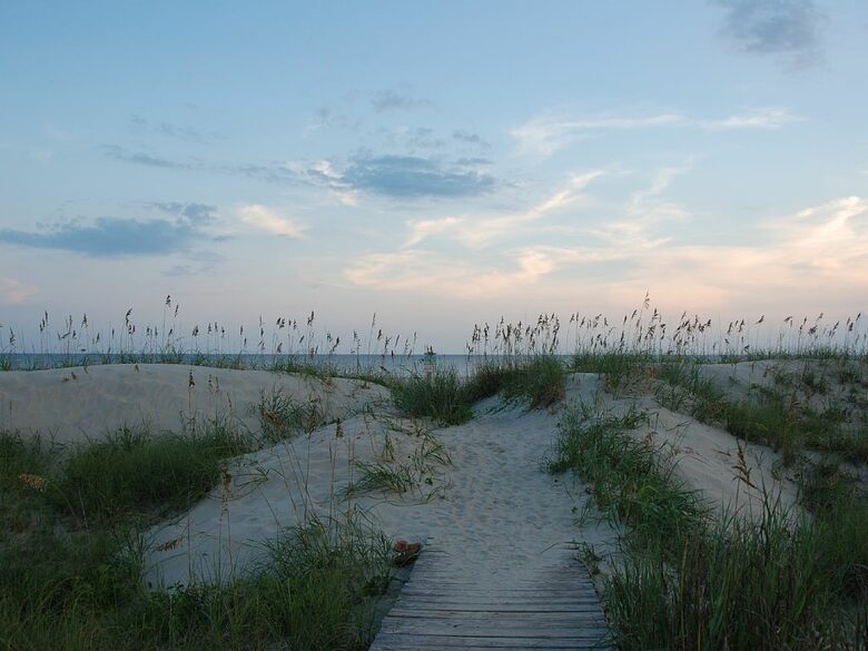 Life on the Sea - Bald Head, North Carolina
