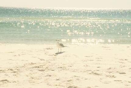 The Sandcastle at Watercolor - Santa Rosa Beach, Florida