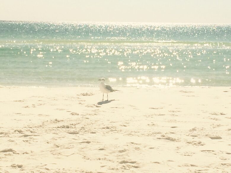 The Sandcastle at Watercolor - Santa Rosa Beach, Florida