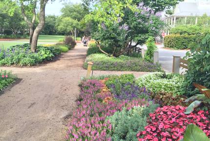 The Sandcastle at Watercolor - Santa Rosa Beach, Florida