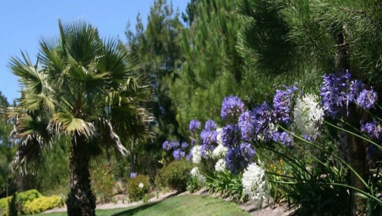 Casa Pinha - Obidos, Portugal