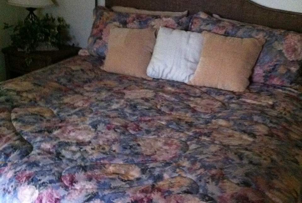 SKI OR GOLF IN THE MAGICAL FOREST - Flagstaff, Arizona