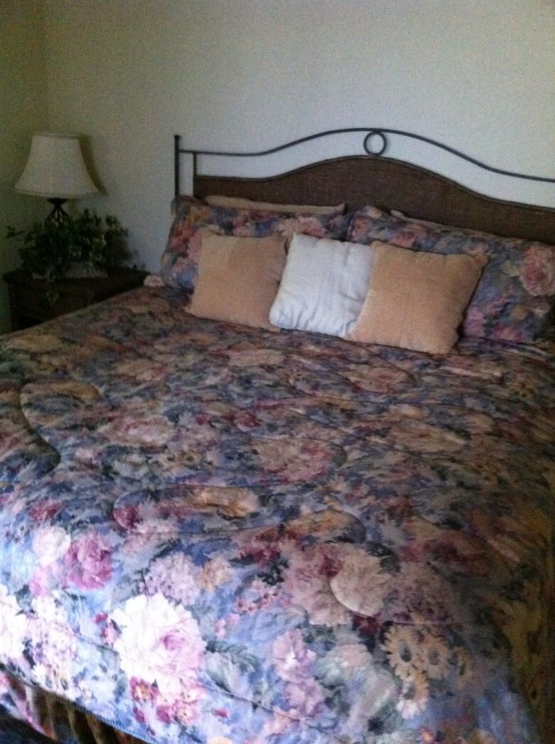 SKI OR GOLF IN THE MAGICAL FOREST - Flagstaff, Arizona