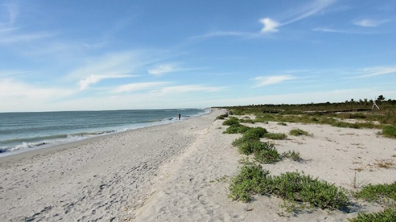 South Seas Island Resort, Plantation House - 2 Bedroom Suite - Captiva Island, Florida