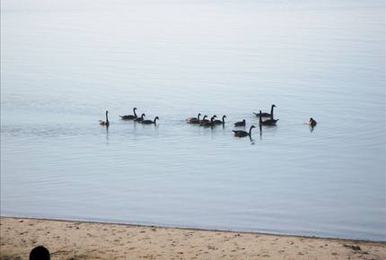 Luxury Home on the Sunny Shores of Lake Erie - PORT COLBORNE, Canada