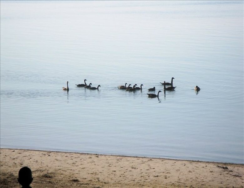 Luxury Home on the Sunny Shores of Lake Erie - PORT COLBORNE, Canada