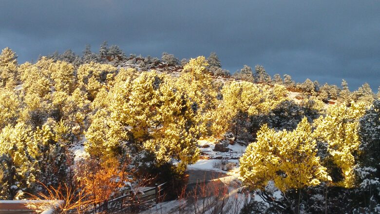 Valencia Ranch Mountain Home Near Santa Fe - Glorietta, New Mexico