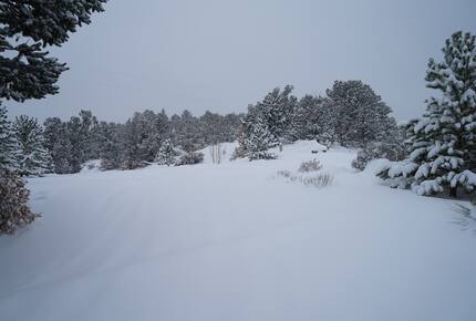 Valencia Ranch Mountain Home Near Santa Fe - Glorietta, New Mexico