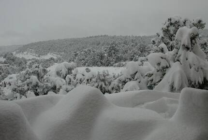 Valencia Ranch Mountain Home Near Santa Fe - Glorietta, New Mexico