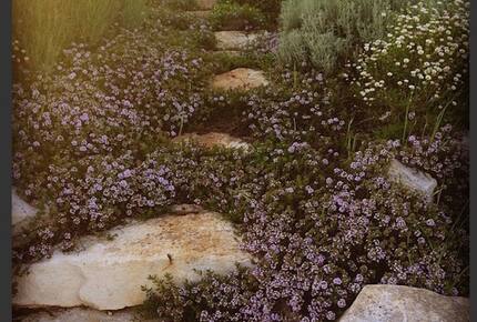 Trullo Incanto - Ostuni, Italy