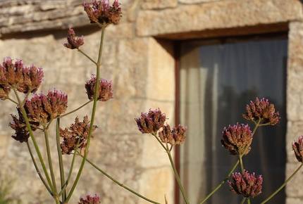Trullo Incanto - Ostuni, Italy