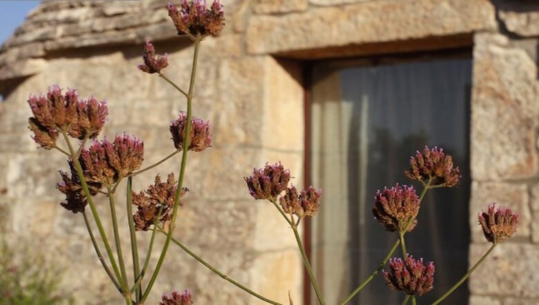 Trullo Incanto - Ostuni, Italy