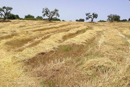 Trullo Incanto - Ostuni, Italy