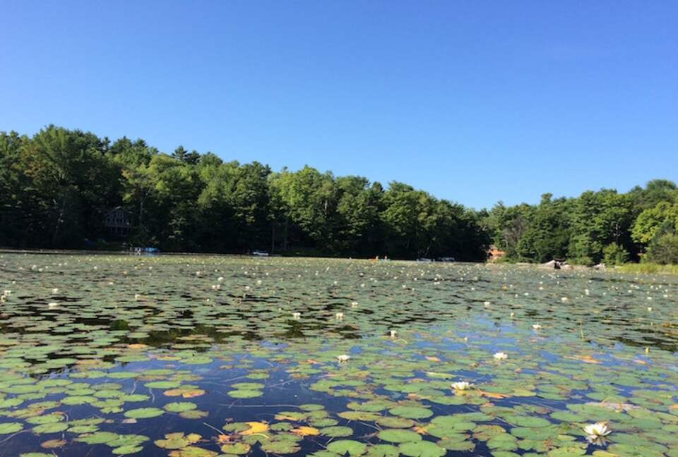 Contemporary Berkshires Retreat - Stockbridge, Massachusetts