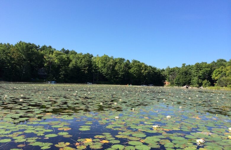 Contemporary Berkshires Retreat - Stockbridge, Massachusetts