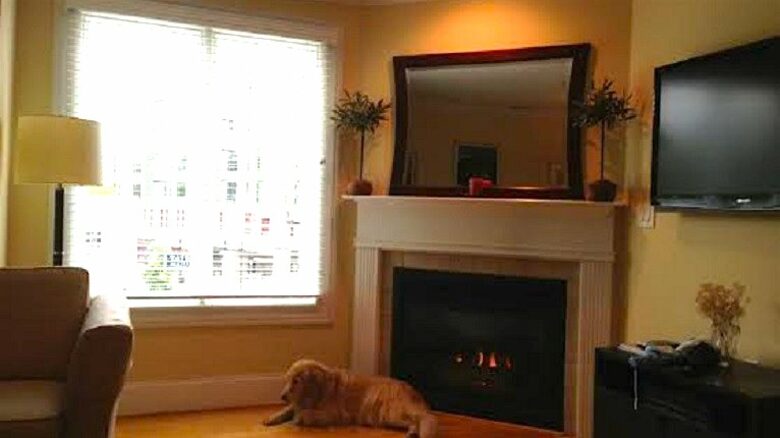 UNC Tickets & Townhouse - Chapel Hill, North Carolina