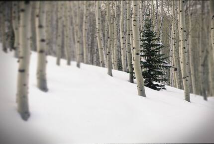 Ski-in, Ski-out Home in The Colony at White Pine Canyon - Park City, Utah
