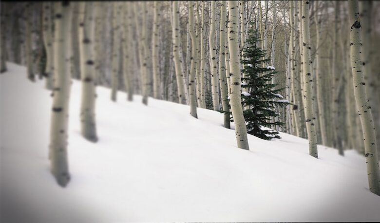 Ski-in, Ski-out Home in The Colony at White Pine Canyon - Park City, Utah