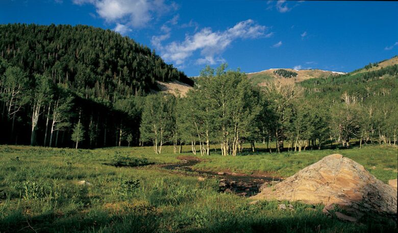 Ski-in, Ski-out Home in The Colony at White Pine Canyon - Park City, Utah