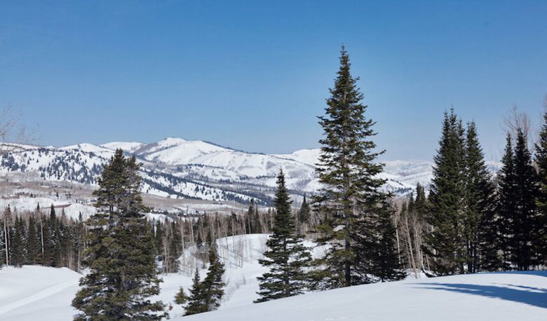 Ski-in, Ski-out Home in The Colony at White Pine Canyon - Park City, Utah