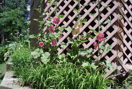 Romantic Victorian in Breckenridge - Breckenridge, Colorado