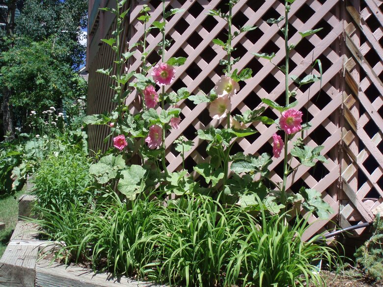 Romantic Victorian in Breckenridge - Breckenridge, Colorado