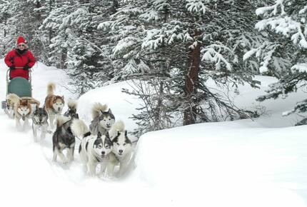 Romantic Victorian in Breckenridge - Breckenridge, Colorado