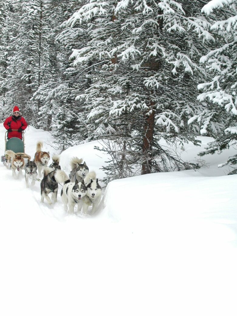 Romantic Victorian in Breckenridge - Breckenridge, Colorado