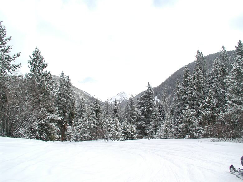 Romantic Victorian in Breckenridge - Breckenridge, Colorado