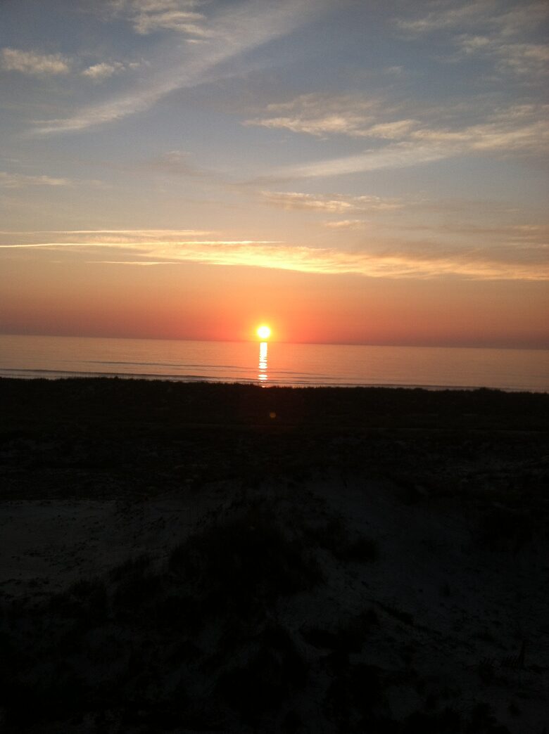 Turtle Time - Jacksonville, Florida