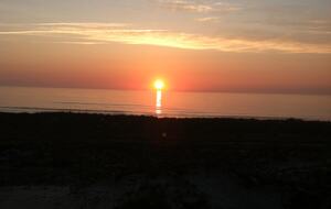 Turtle Time - Jacksonville, Florida