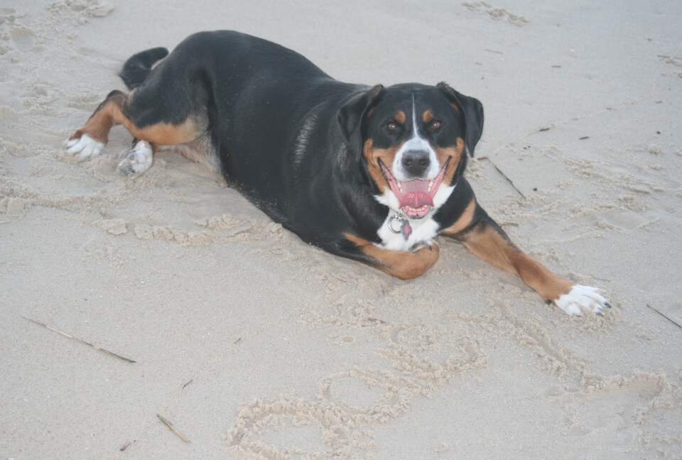 Bethany Beach Getaway - Ocean View, Delaware