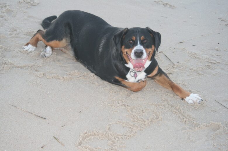 Bethany Beach Getaway - Ocean View, Delaware