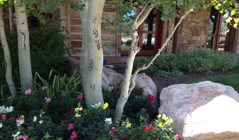 Ski and Golf Family Paradise - Vail Valley, CO - Wolcott, Colorado