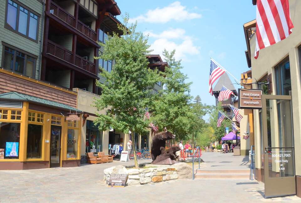 Winterset Mountain Escape- World Class Skiing and Fishing - Mammoth Lakes, California