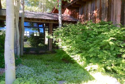 Ski and Golf Family Paradise - Vail Valley, CO - Wolcott, Colorado