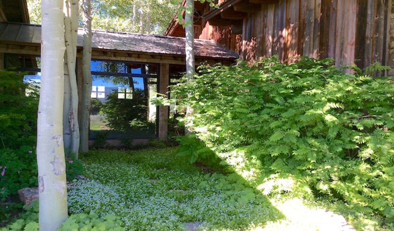 Ski and Golf Family Paradise - Vail Valley, CO - Wolcott, Colorado