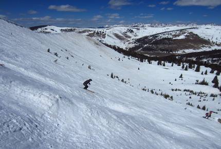 Ski and Golf Family Paradise - Vail Valley, CO - Wolcott, Colorado