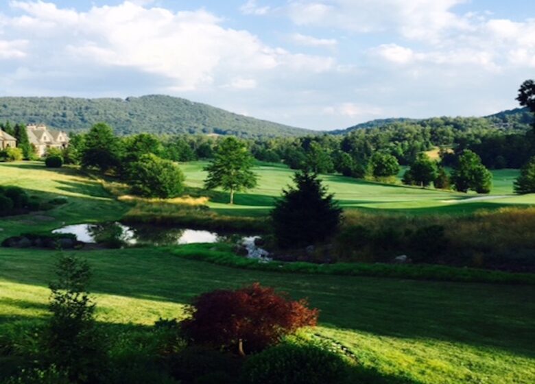 Walnut Cove Townhome - Arden, North Carolina