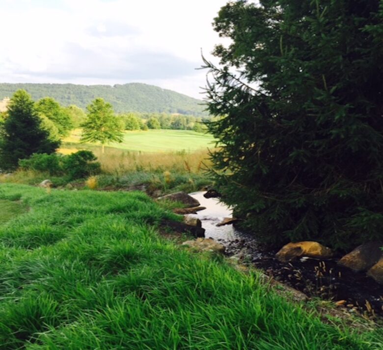 Walnut Cove Townhome - Arden, North Carolina