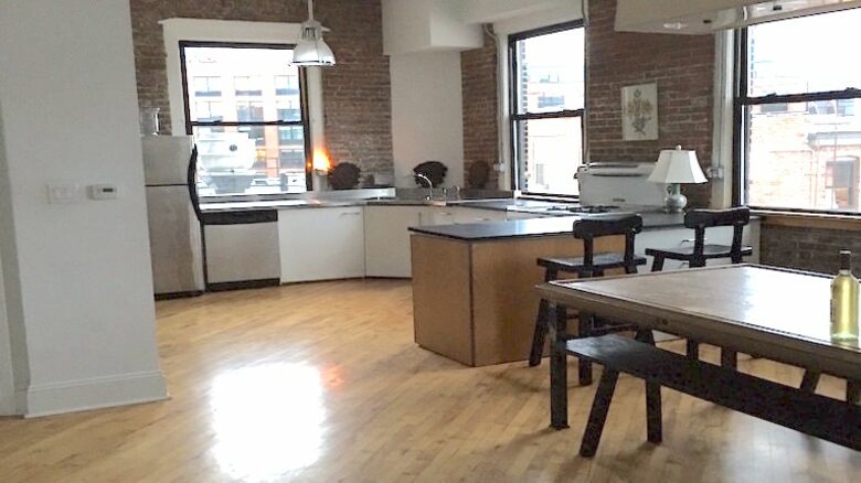 Waterfront Manhattan Skyline View Luxury Penthouse - Brooklyn - New York City, New York