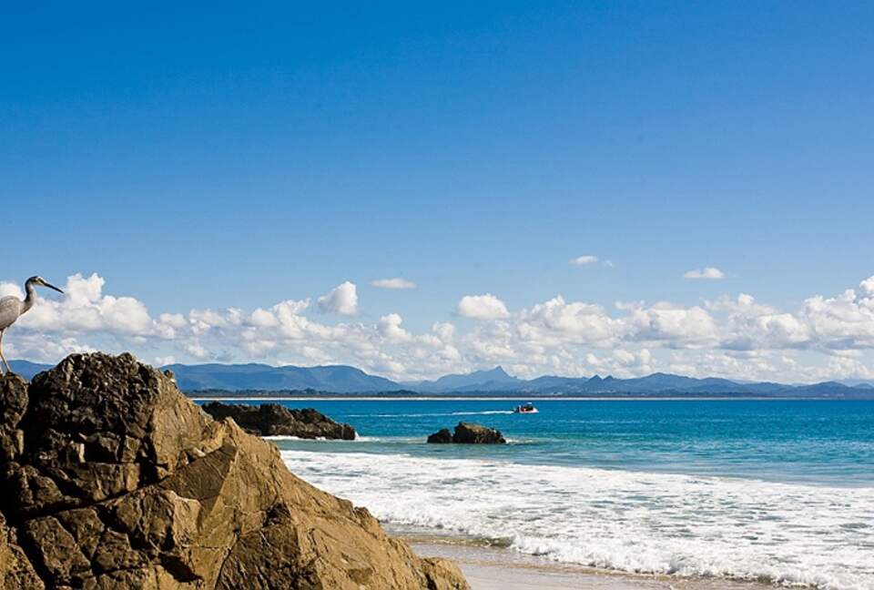 Artists Retreat Byron Bay - Byron Bay, Australia