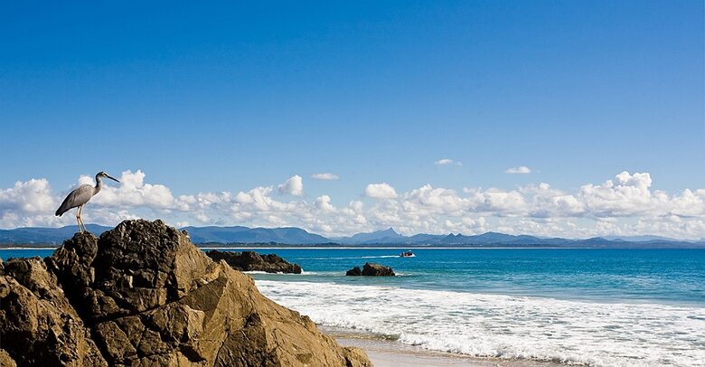 Artists Retreat Byron Bay - Byron Bay, Australia